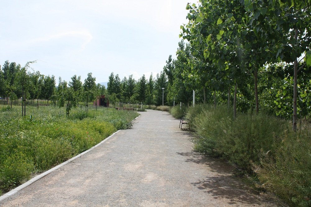 Dónde hacer ejercicio al aire libre en Granada